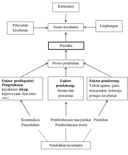 Gambar 1. Hubungan status kesehatan, perilaku, dan pendidikan kesehatan (Green, 1980 ; Notoadmojo, 2003) 