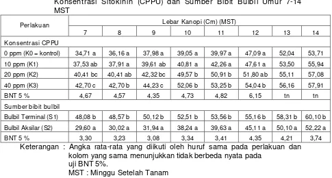 Tabel 6. Rata-rata Lebar Kanopi (Cm) Tanaman Porang karena Perlakuan 