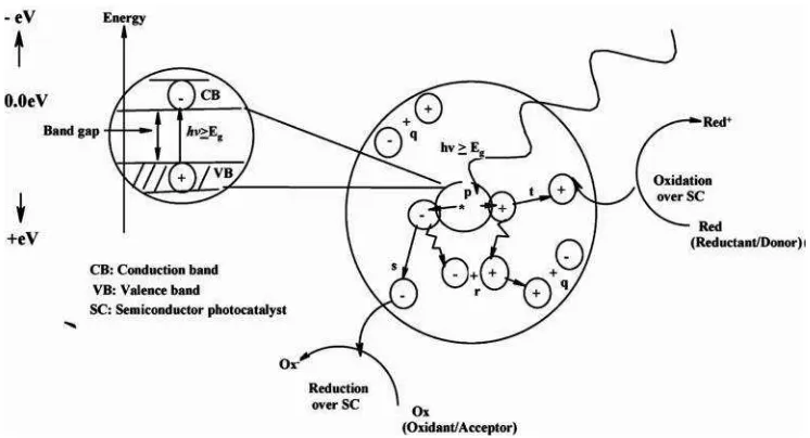 Gambar 2.7. Skema proses fotokatalisis (Carp et al, 2004).