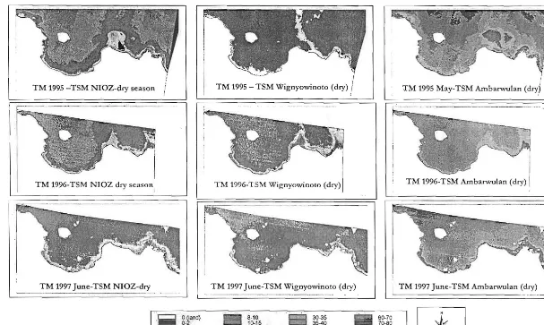 Gambar  - 6.1. Peta TSM Konsentrasi diperoleh dari Landsat TM 1995. 1996 dan 1997  (musim  ｫ･ｲｩｮｾＩ＠