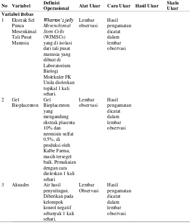 Tabel 2. Definisi operasional variabel penelitian 