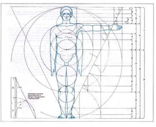 Gambar 4. Perbandingan anatomi tubuh manusia. Sumber: https://www.google.co.id/search?q=ilustrasi+gambar+manusia 