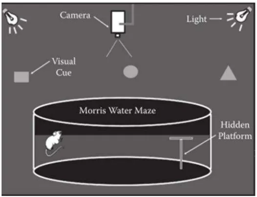 Gambar 3. Ilustrasi Morris Water Maze Test(Sumber : Alvin & Terry, 2009)