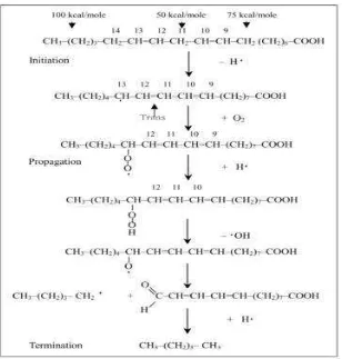 Gambar 1. Proses oksidasi minyak  (Sumber: Choe & Min, 2007). 