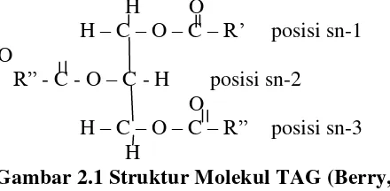 Gambar 2.1 Struktur Molekul TAG (Berry, 2009) 
