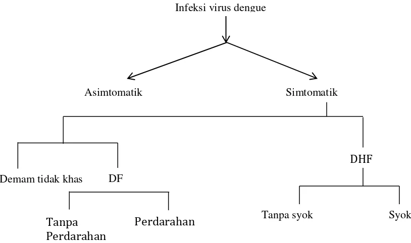 Gambar 2. Infeksi Virus Dengue 