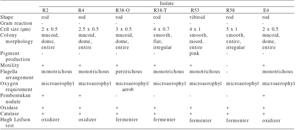 Table 1. Bacterial isolates used in this study