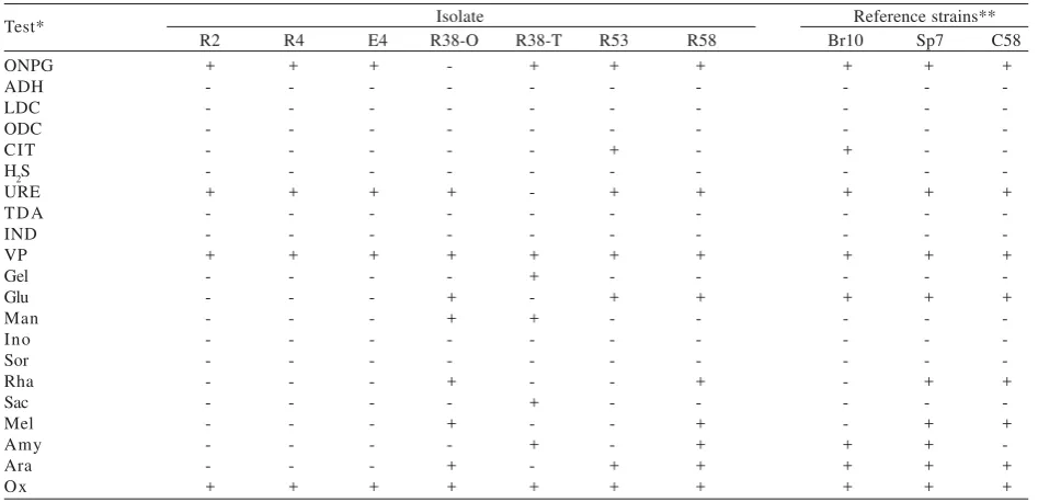 Table 4. API20NE test results of the isolates after incubation at29 oC for 6 days