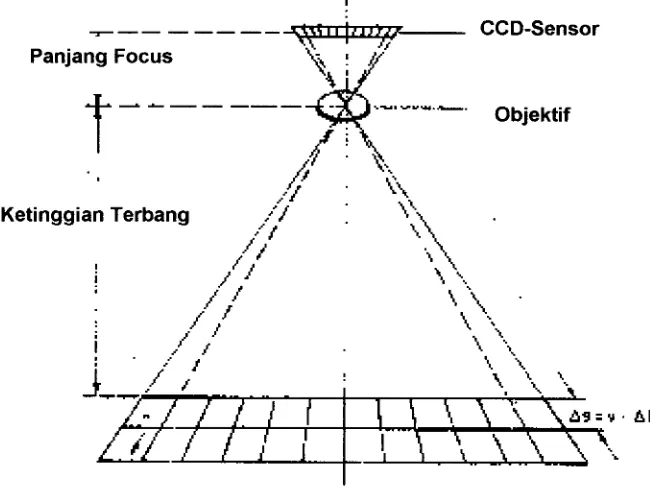 Gambar 2.3. Geometri CCD-Sensor 
