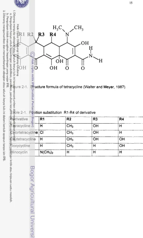 Figure 2-1. Structure formula of tetracycline (Walter and Meyer, 1987). 