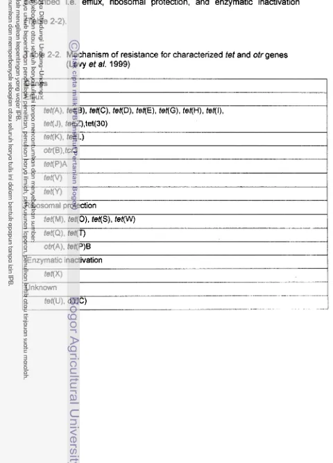 Table 2-2. Mechanism of resistance for characterized tet and otr genes 