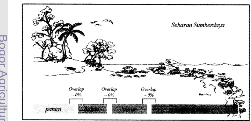 Gambar 3. Strat~fikasi Ekosistem Wilayah Pesisir dan Laut 