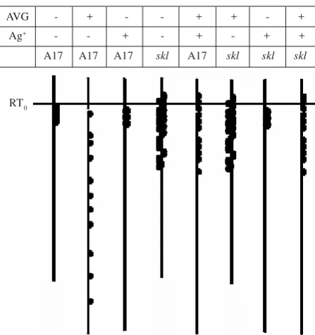 Figure 4. Summary of nodulation phenotypes in A17 (wild type)and skl treated with AVG and/or Ag+