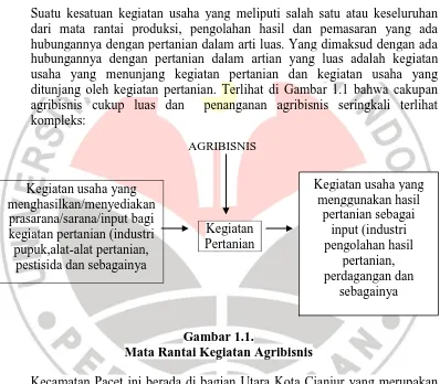 Gambar 1.1.  Mata Rantai Kegiatan Agribisnis 