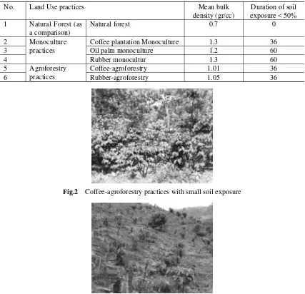 Fig.2 Coffee-agroforestry practices with small soil exposure 