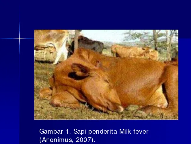 Gambar 1. Sapi penderita Milk fever 
