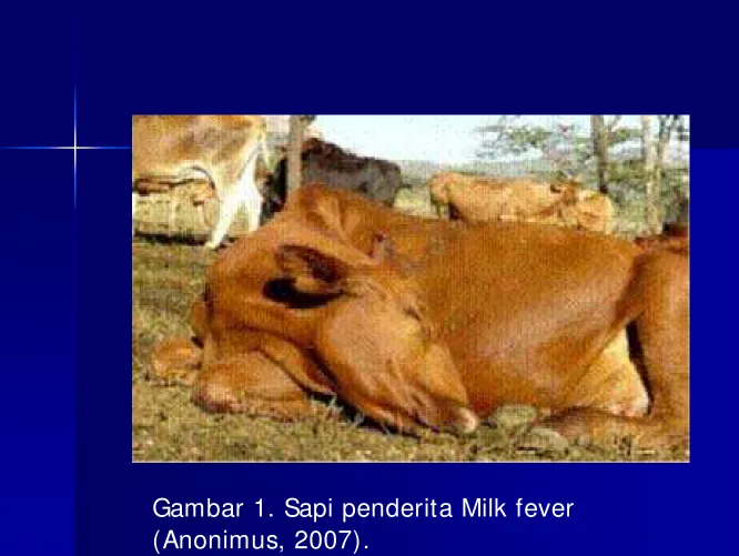 Gambar 1. Sapi penderita Milk fever 