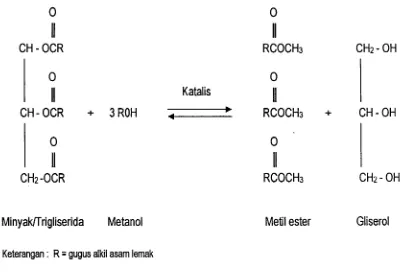 Gambar 1. Reaksi transesterifikasi antara lemak atau minyak dengan metanol (May and Cheah, 2001) 