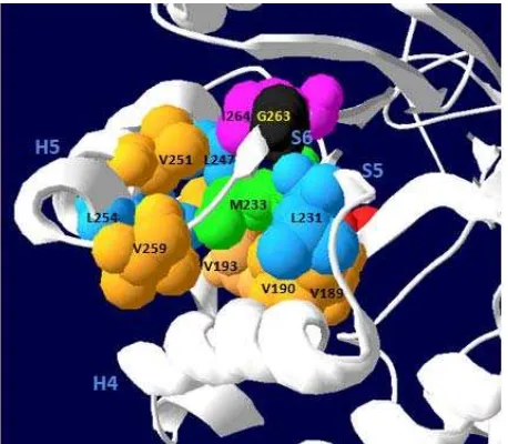 Figure 5. A closer view around the D227, N228, and T245 ofextracellular xylanase T-6.