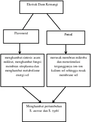 Gambar 4. Kerangka Teori (Dhale et al., 2012;Sarma dan Babu 2011;Yuhana et al., 
