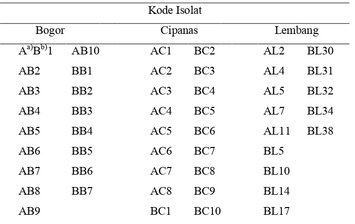 Tabel 2  Daftar kode isolat bakteri endofit