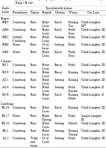 Tabel 5  Karakteristik isolat-isolat bakteri endofit yang digunakan dalam 