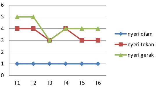 Grafik 4.2 Evaluasi lingkup gerak sendi wrist dextra aktif 