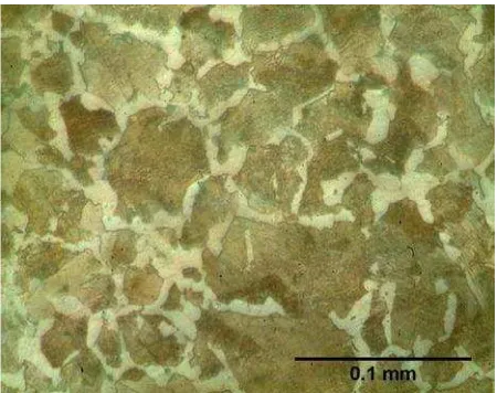 Gambar 1. Struktur mikro baja AISI 1065
