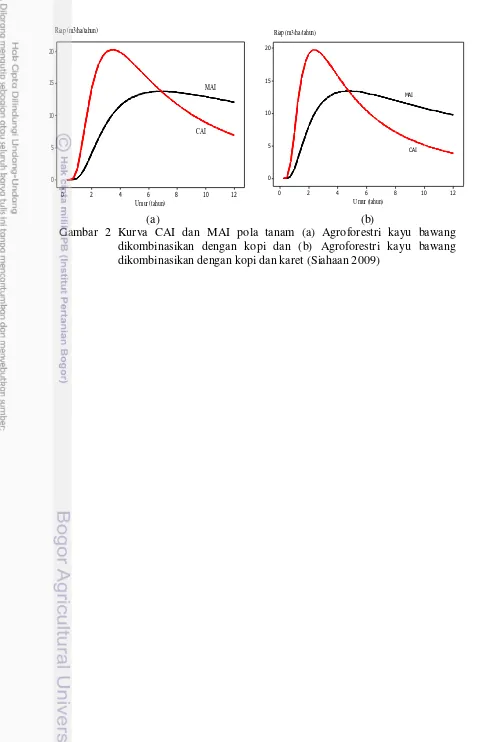 Gambar 2 Kurva CAI dan MAI pola tanam (a) Agroforestri kayu bawang 
