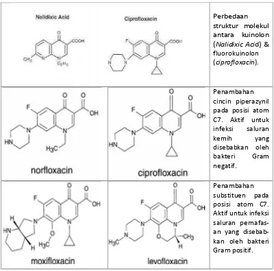 Gambar 5. Perbaikan farmakologi pada cincin kuinolon dasar dengan penambahanfluorin di posisi C6 dan piperazynil atau cincin terikat pada posisi C7menghasilkan florokuinolon (Kocsis, 2012).