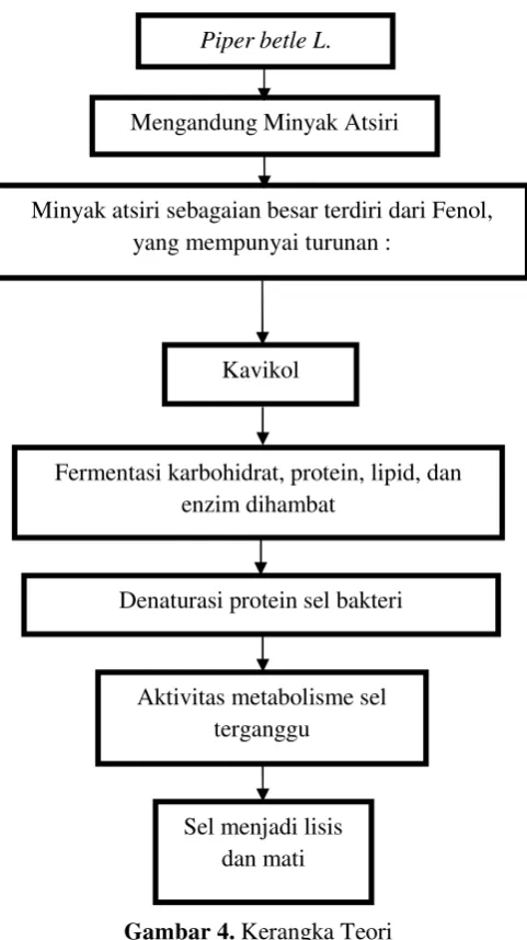 Gambar 4. Kerangka Teori
