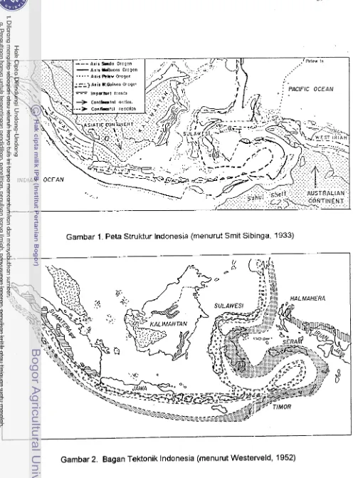 Gambar 2. Bagan Tektonik Indonesia (menurut Westerveld, 1952) 