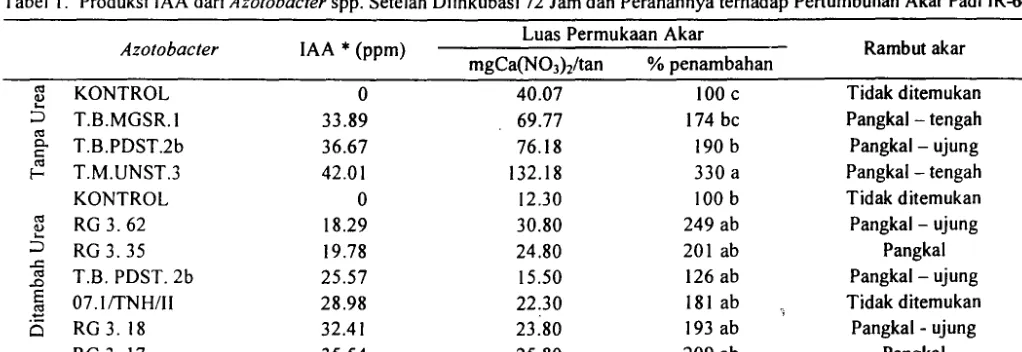 Tabel I. Produksi IAA dari Azotobacter spp. Setelah Diinkubasi 72 Jam dan Peranannya terhadap Pertumbuhan Akar Padi IR-64 