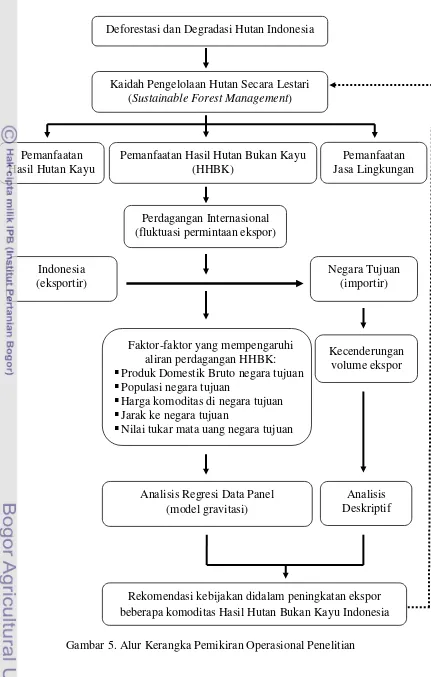 Gambar 5. Alur Kerangka Pemikiran Operasional Penelitian 