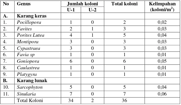Tabel 8.  Jumlah koloni, total koloni, dan kelimpahan pada barat Pulau Rambut 