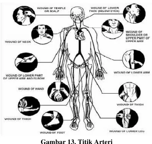 Gambar 13. Titik Arteri 