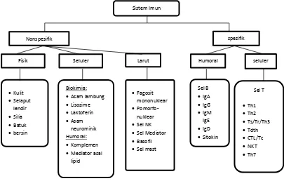 Gambar 2.1 Gambaran Umum Sistem Imun (Baratawidjaja dan Renggani, 2009) 