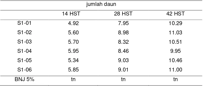 Tabel 5. Nilai rata – rata  jumlah daun pada waktu 14 HST, 28 HST dan 42 HST generasi selfing-1 varietas NK-33
