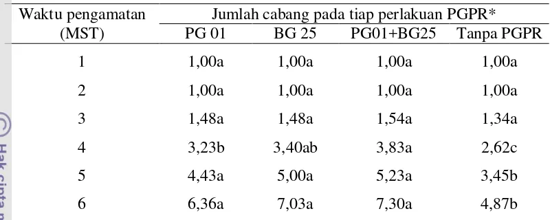 Tabel 4  Pengaruh genotipe cabai terhadap jumlah cabang tanaman cabai 
