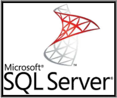 Gambar 2.9 – Microsoft SQL Server 