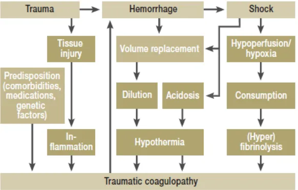 Gambar 2.4 Mekanisme koagulopati pada trauma. (Maegele dkk, 2011) 