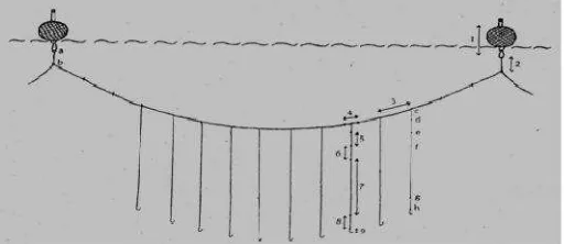 Gambar 2.5: Tali Rentang. Sumber (Aypa, 1990: 46).