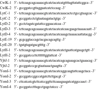 Table S1. Primers used in this study. 