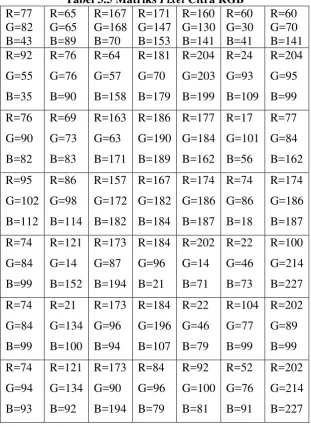 Tabel 3.5 Matriks Pixel Citra RGB 