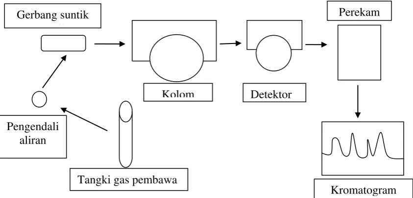 Gambar 2.4 Skematis Alat Kromatografi Gas 