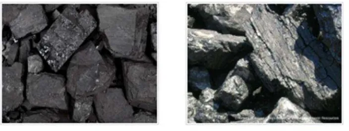 Gambar 6. Batubara Lignite