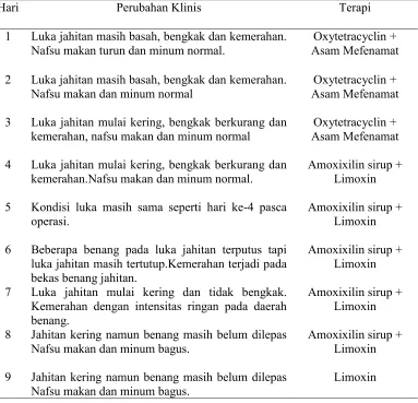 Table 1. Hasil pengamatan pasca operasi 