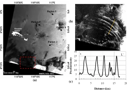 Figure 6. (a) PALSAR from ScanSAR mode images over the northern Lombok Strait area acquired on 2 