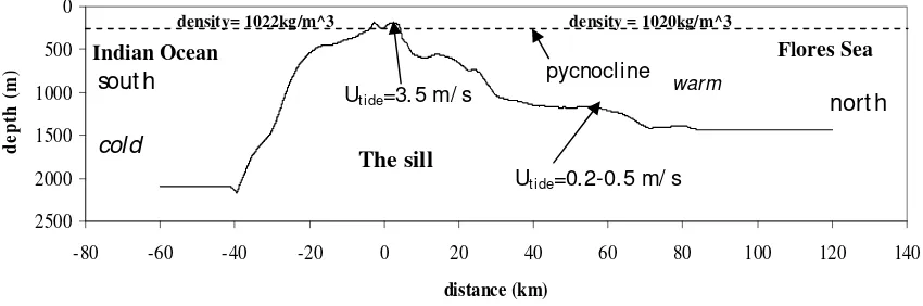 Figure 2. South-north cross section of the bottom topography of the Lombok Strait and water properties 