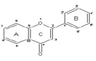 Gambar 2. Struktur senyawa flavonoid(Sumber: Tapas, et al., 2008).